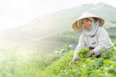 Vùng dược liệu