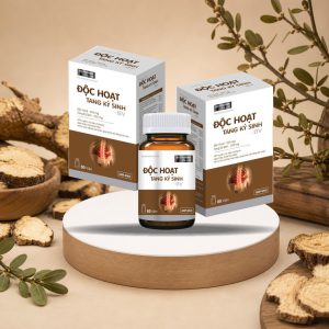 Độc Hoạt Tang Ký Sinh - BV